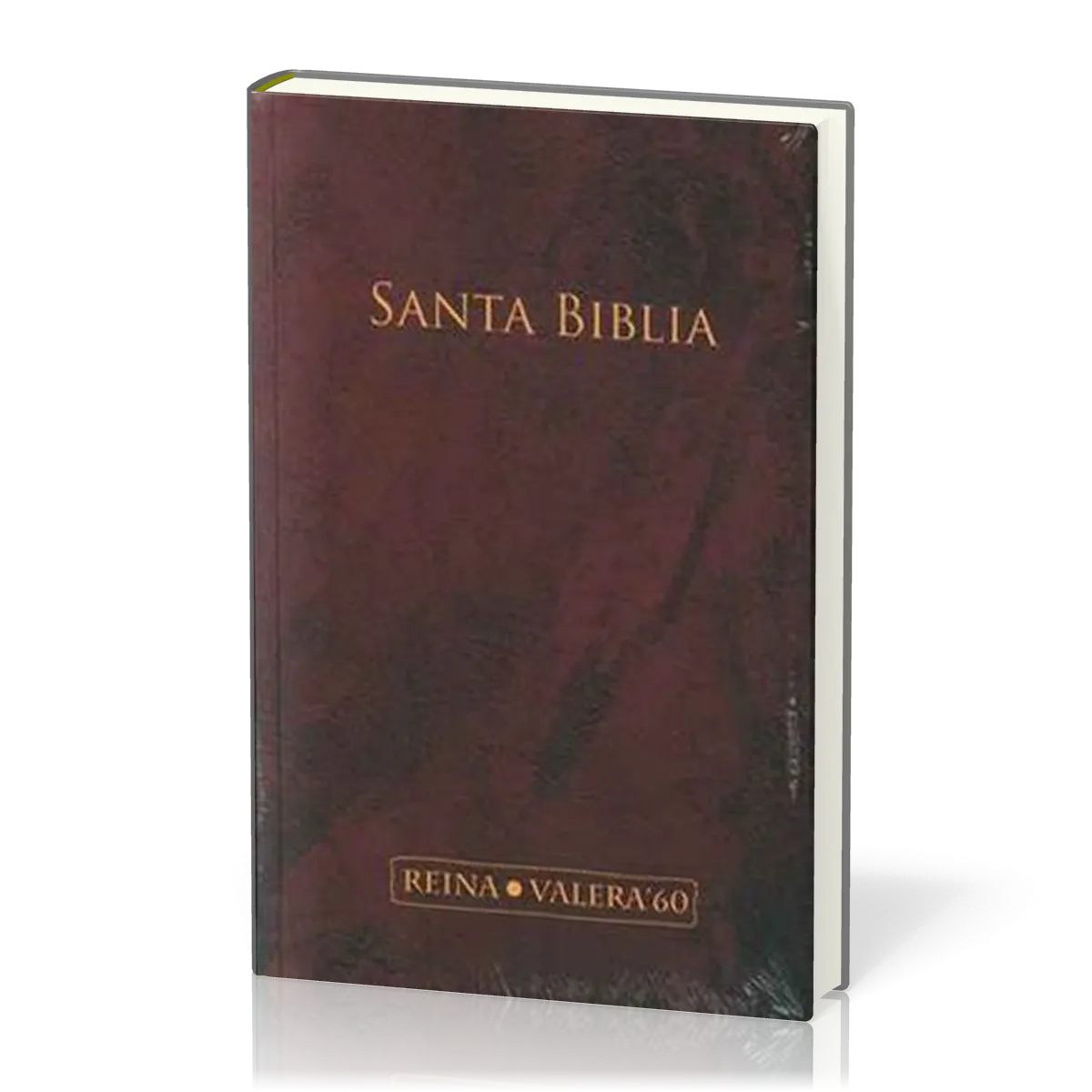 Bible - Reina Valera 60
