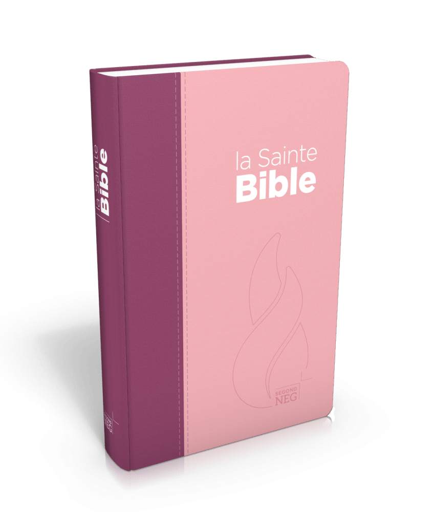 Bible Segond NEG compact, couverture souple, toile duo rose praline/violet fruits des bois