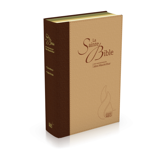 Bible NEG MacArthur - duo marron et beige - souple, toile, tranche or