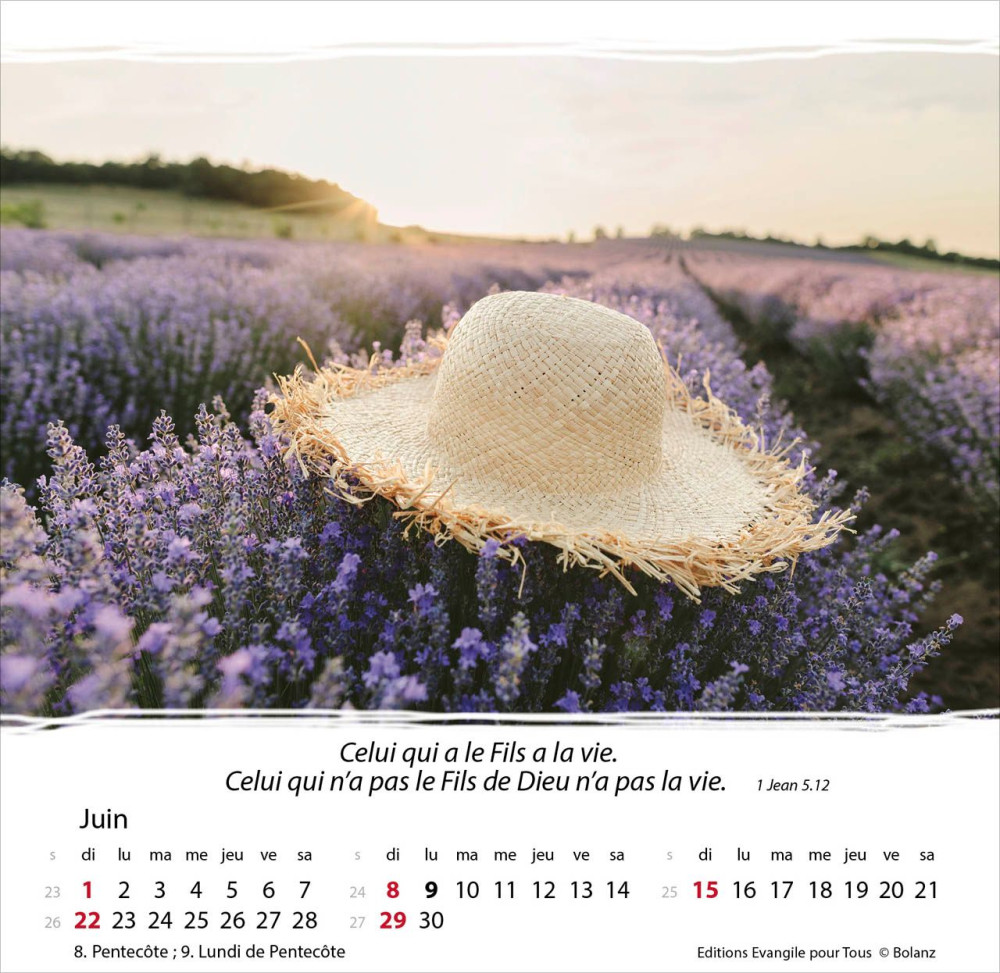 Calendrier Vivre - cartes postales avec méditations