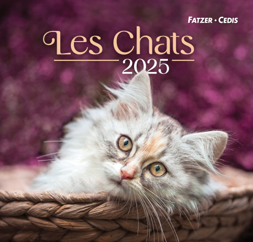 Calendrier Nos amis les chats - grand format