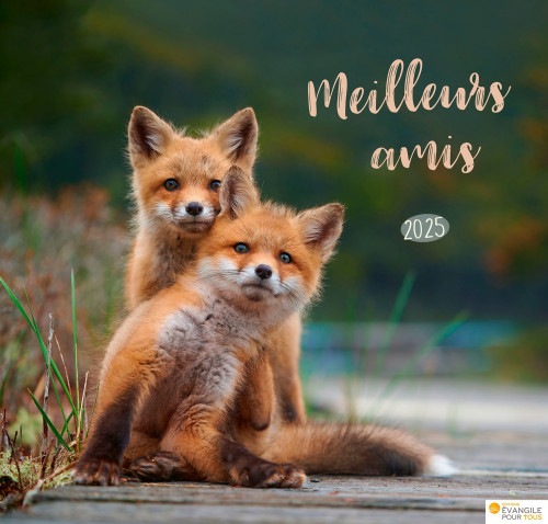 Calendrier Meilleurs amis - grand format