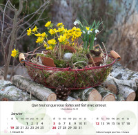 Calendrier Jardins - Merveilles de la création