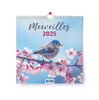 Calendrier Merveilles muiral, sans texte