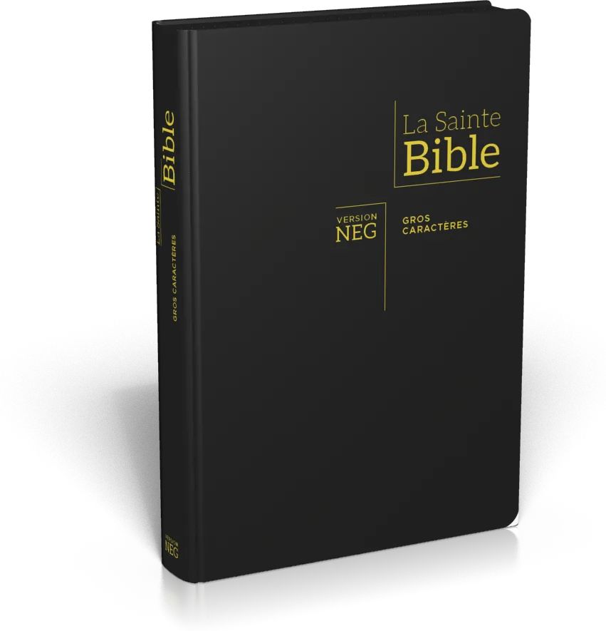 Bible NEG gros caractères - fibrocuir noir ferm. éclair tranche or onglets