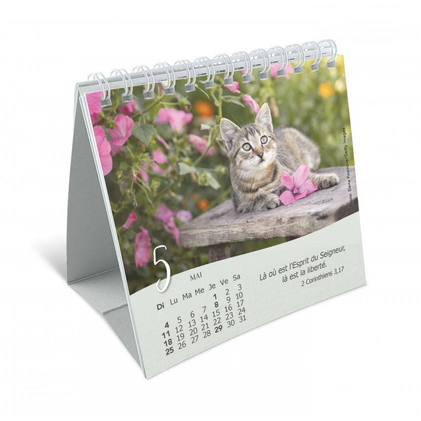 Calendrier Nos amis les chats - petit format