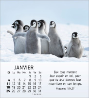 Calendrier Mes petits amis avec versets