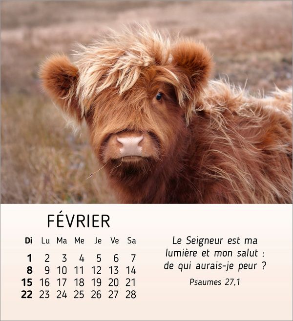 Calendrier Mes petits amis avec versets