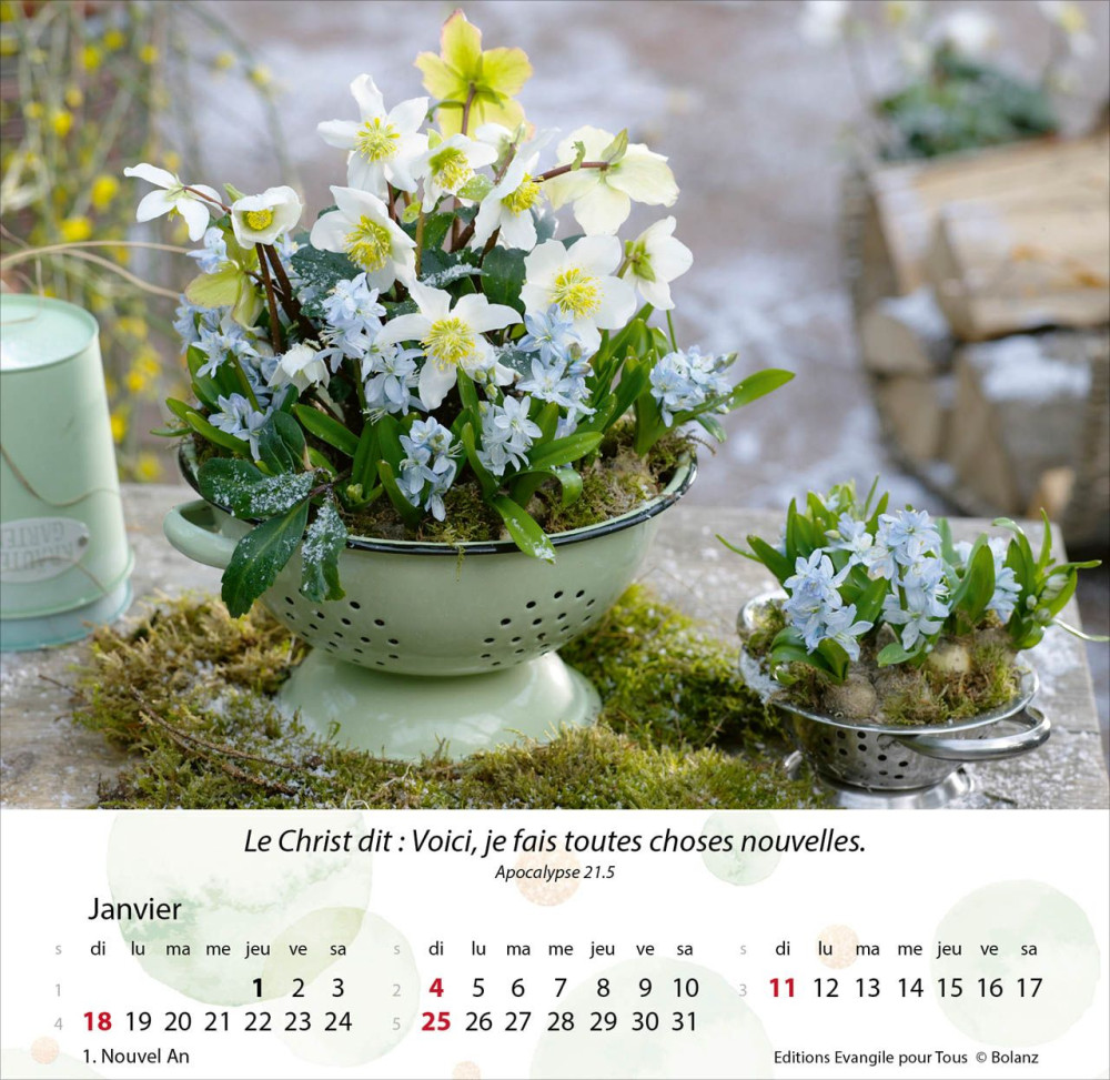 Calendrier Jardins - Merveilles de la création