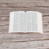 Bible Segond 21 compact rose - couverture rigide Skyvertex