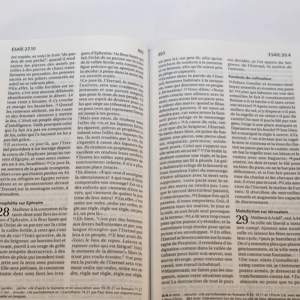 Bible Segond 21 compacte (premium style) - couverture souple toilée motif jeans, avec fermeture écl