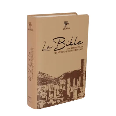 Bible Segond 21 archéologique - couverture souple Vivella brun