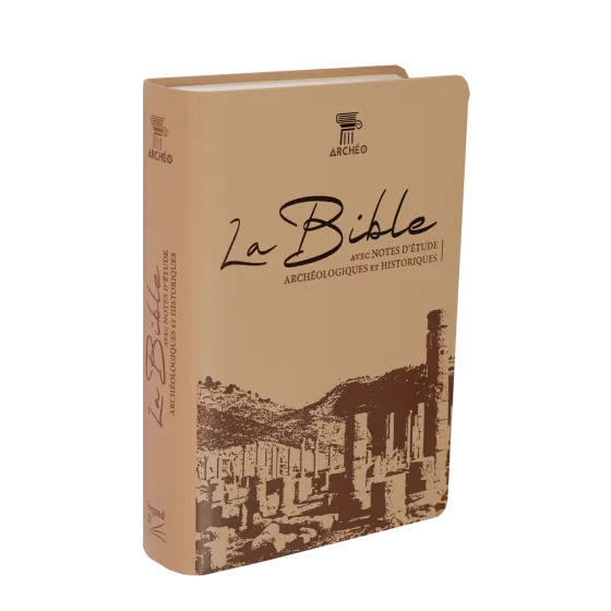 Bible Segond 21 archéologique - couverture souple Vivella brun