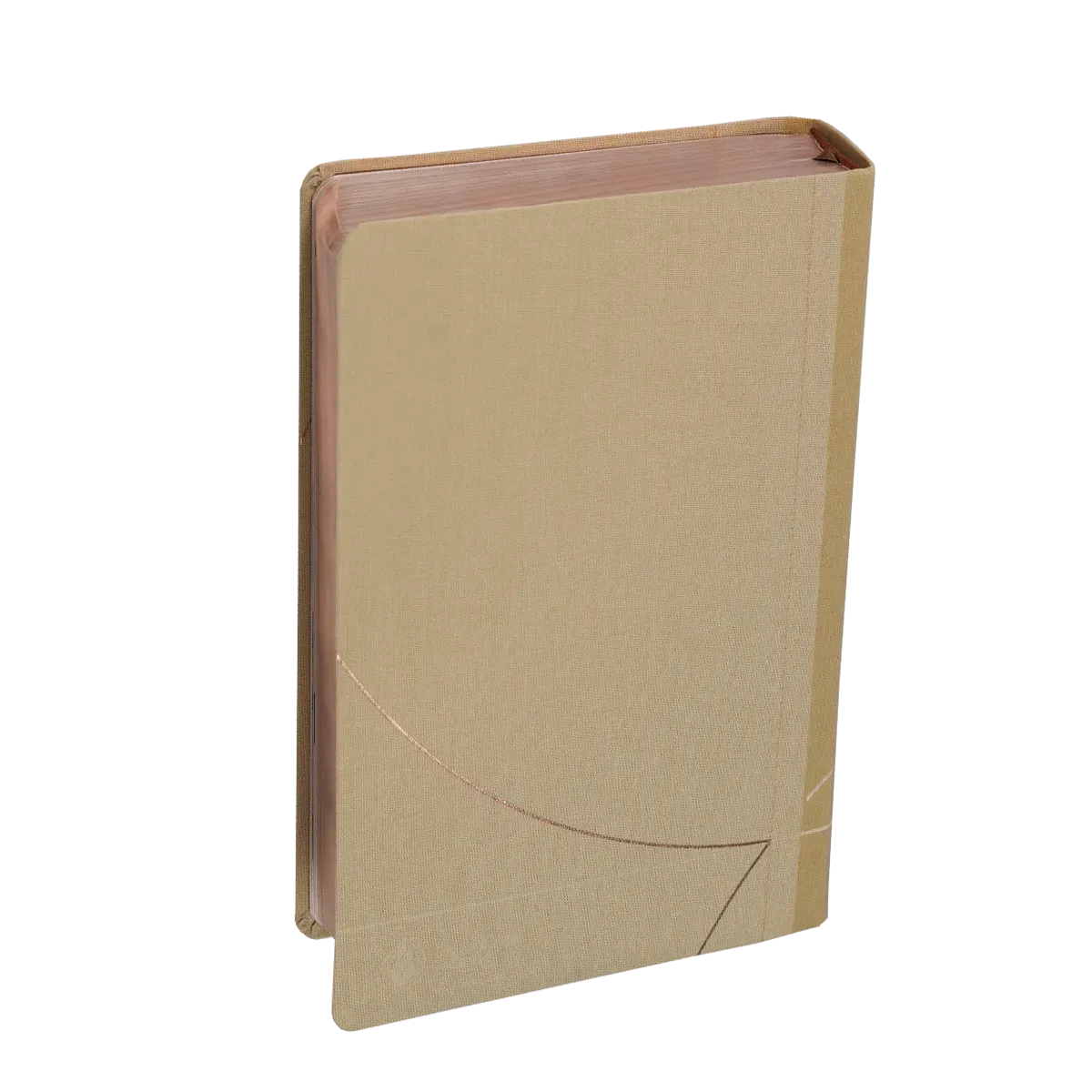 Bible Segond 21 Vie Nouvelle - souple - toile beige - avec boîtier
