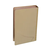 Bible Segond 21 Vie Nouvelle - souple - toile beige - avec boîtier