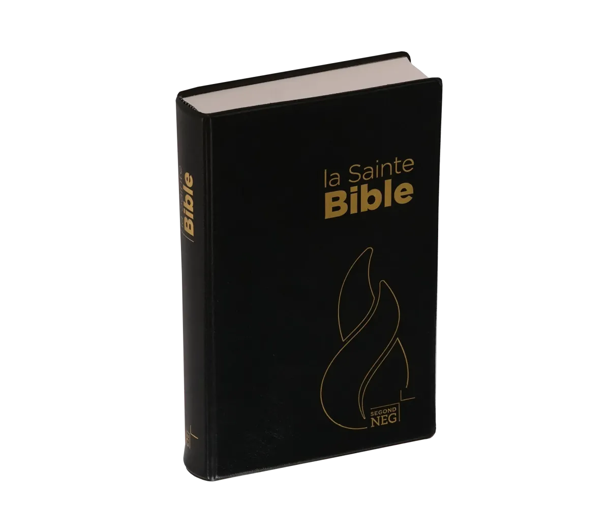 Bible NEG - compact PVC noir