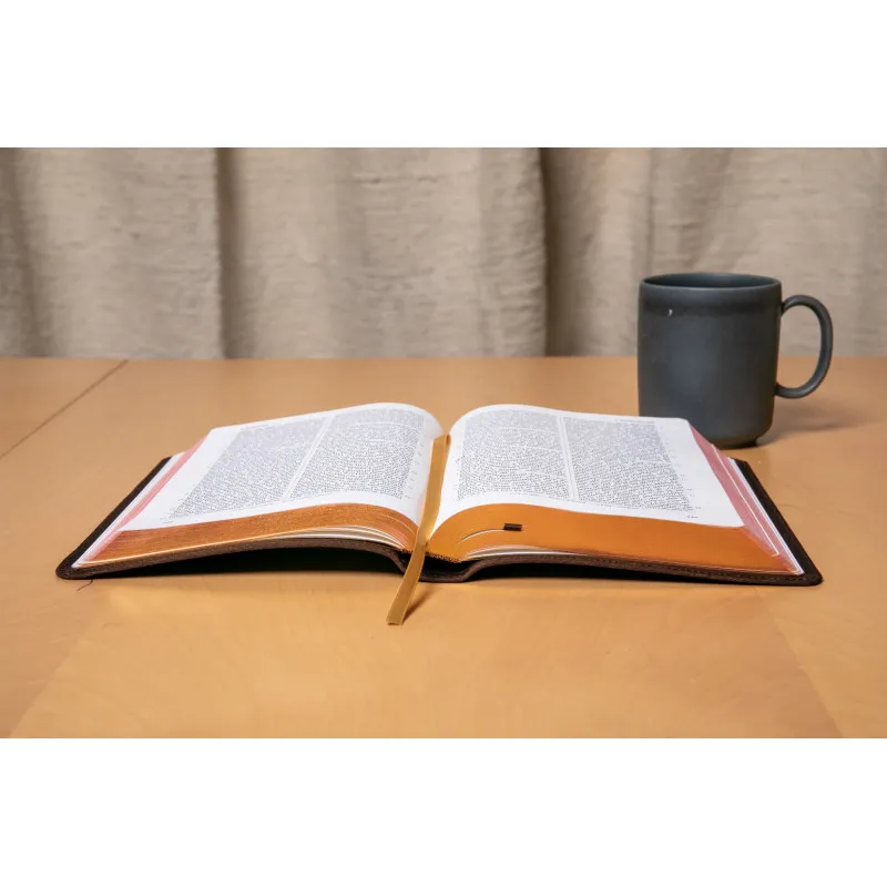 Bible Darby édition de Rolle, format moyen, cuir brun souple, tranche dorée