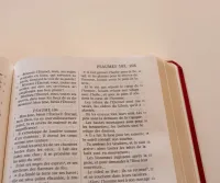 Bible Darby édition de Rolle, format moyen, textile bordeaux, semi-rigide, tranche dorée