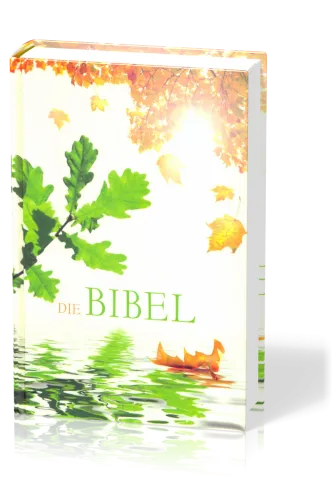 Allemand - Bible - reliée - motif eaux vives