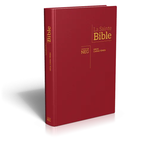 Bible NEG gros caractères - couverture rigide bordeaux