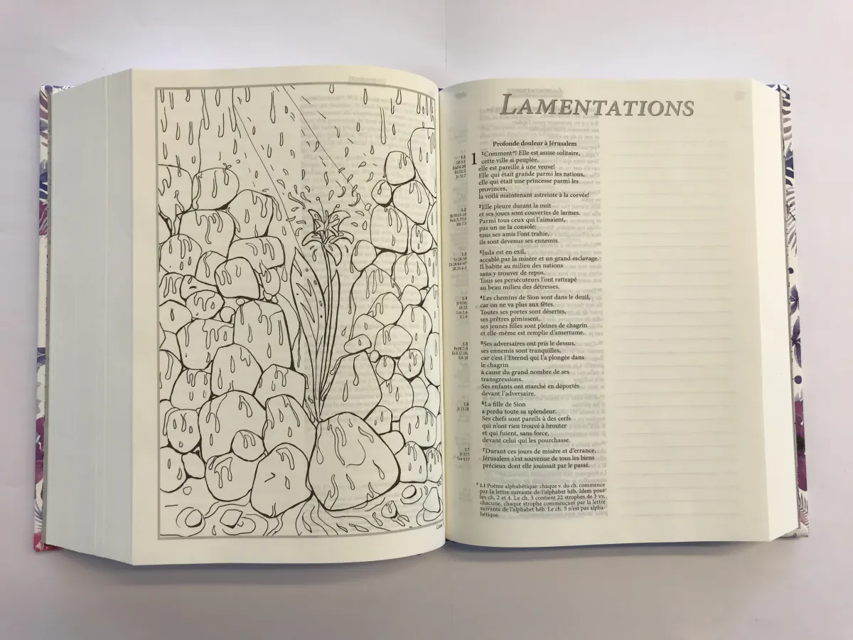 Bible Segond 21 Journal de bord - rigide imprimée