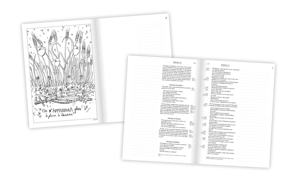 Bible Segond 21 Journal de bord - rigide imprimée