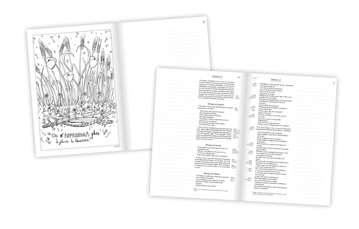 Bible Segond 21 Journal de bord - rigide imprimée