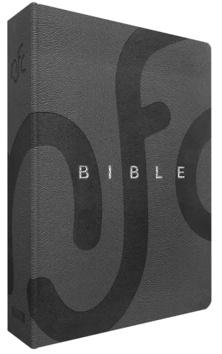 Bible Nouvelle Français courant - compact souple gris, tranche argentée sans deuterocanonique