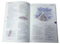 Bible Parole de Vie illustrée par Annie Valotton sans deutérocanoniques - nouvelle édition