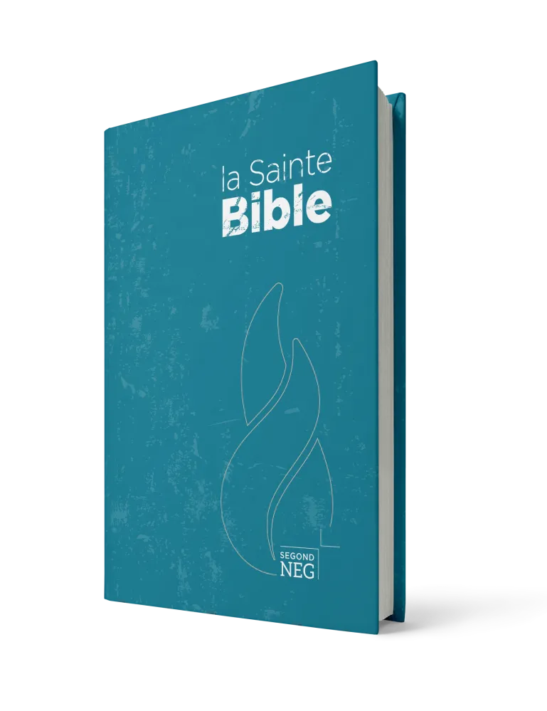Bible NEG compact rigide bleue