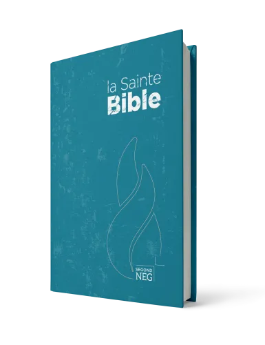 Bible NEG compact rigide bleue