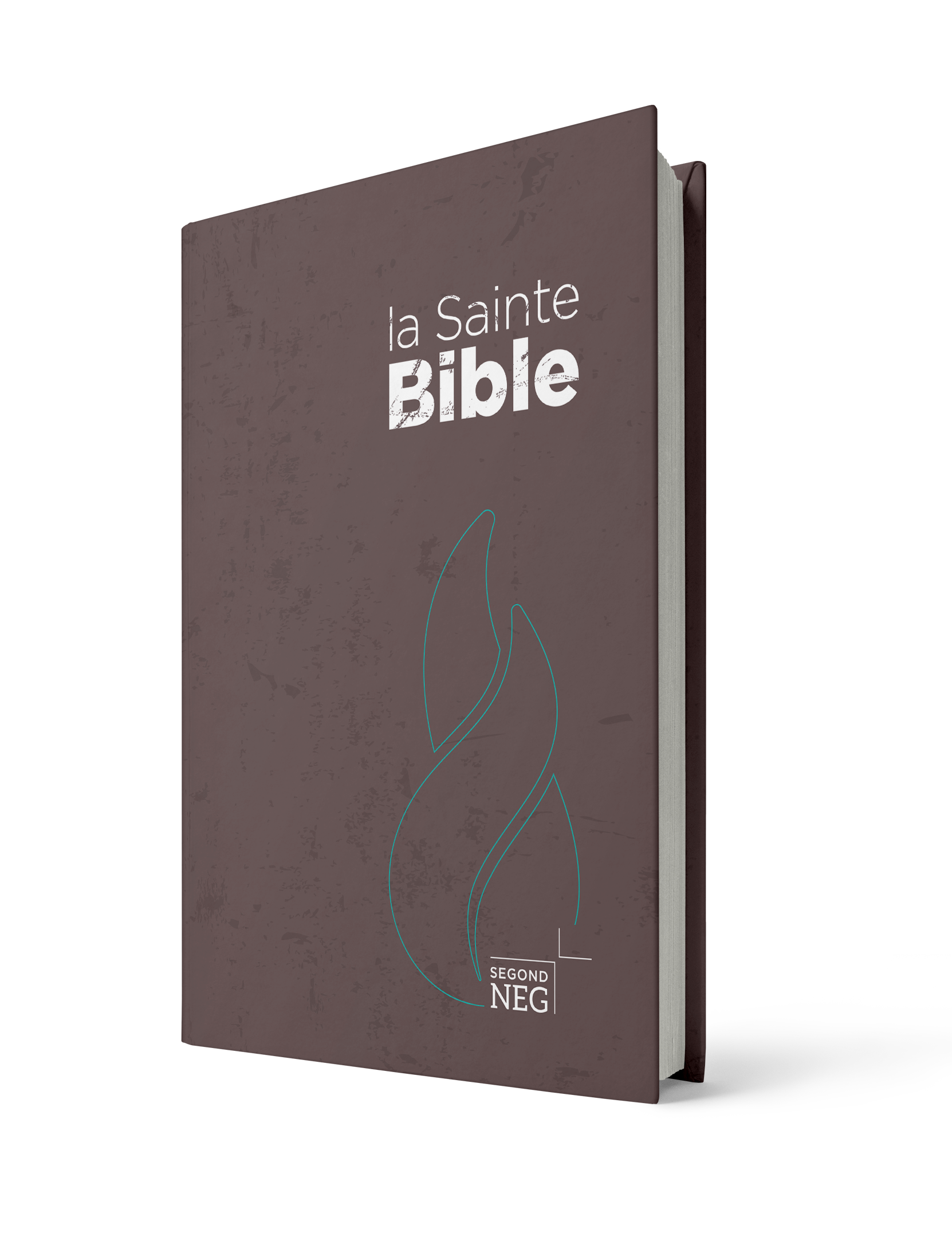 Bible NEG compact rigide brune