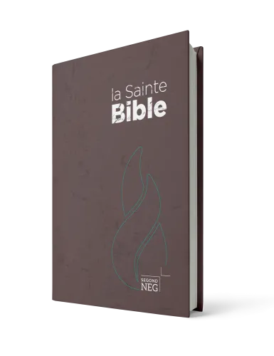 Bible NEG compact rigide brune