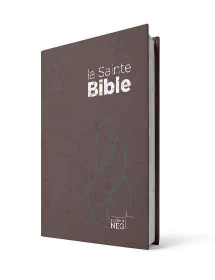 Bible NEG compact rigide brune