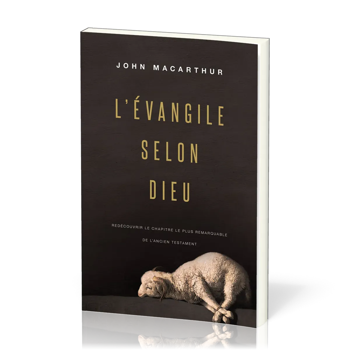 Evangile selon Dieu (L') - Redécouvrir le chapitre le plus remarquable de l’Ancien Testament