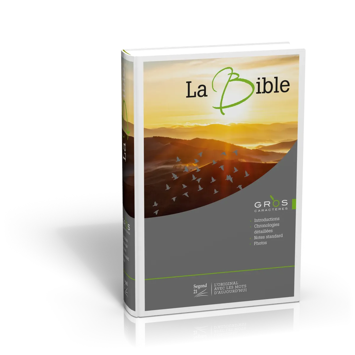 Bible Segond 21 gros caractères - rigide illustrée