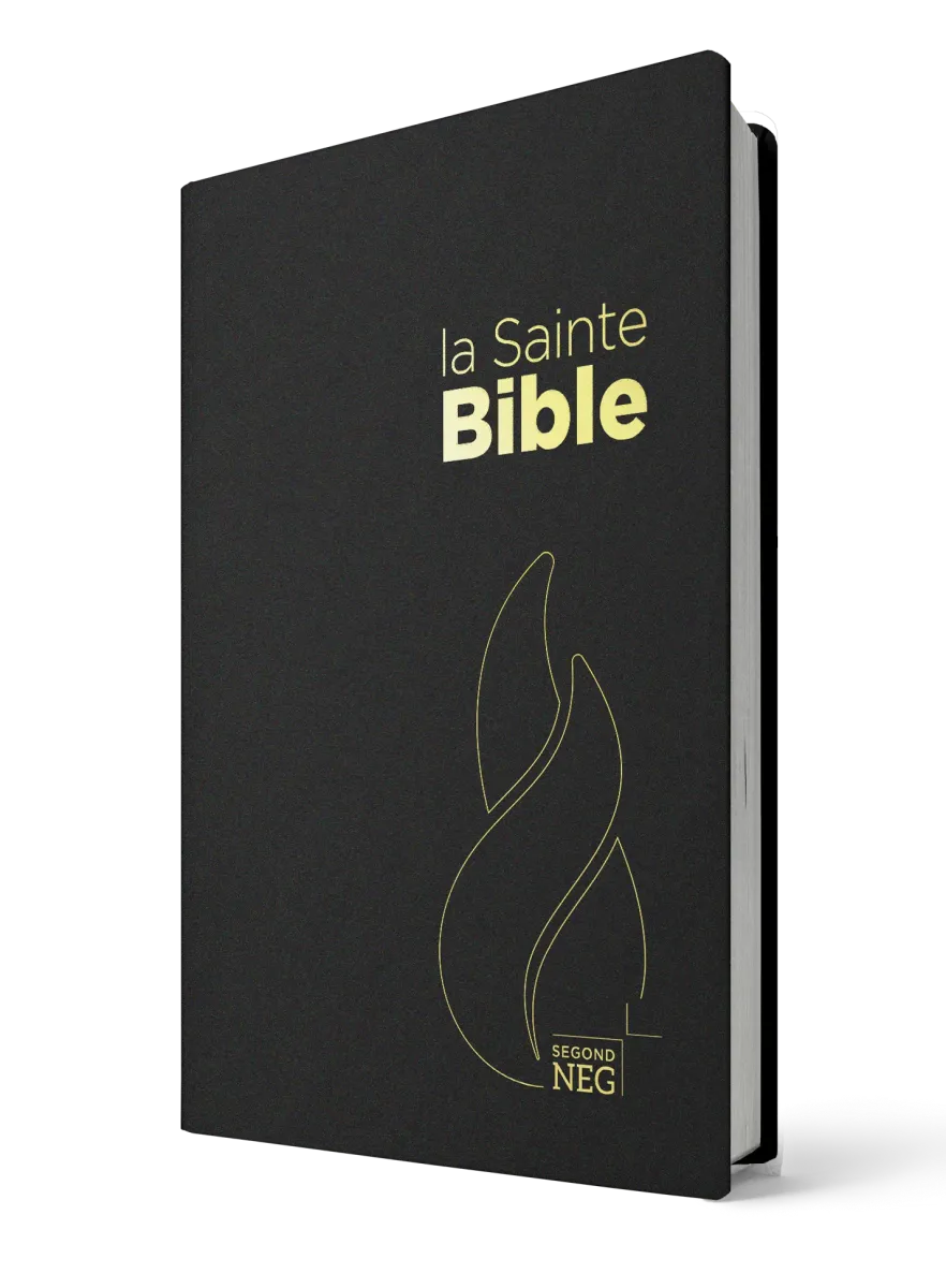 Bible NEG - compact PVC noir