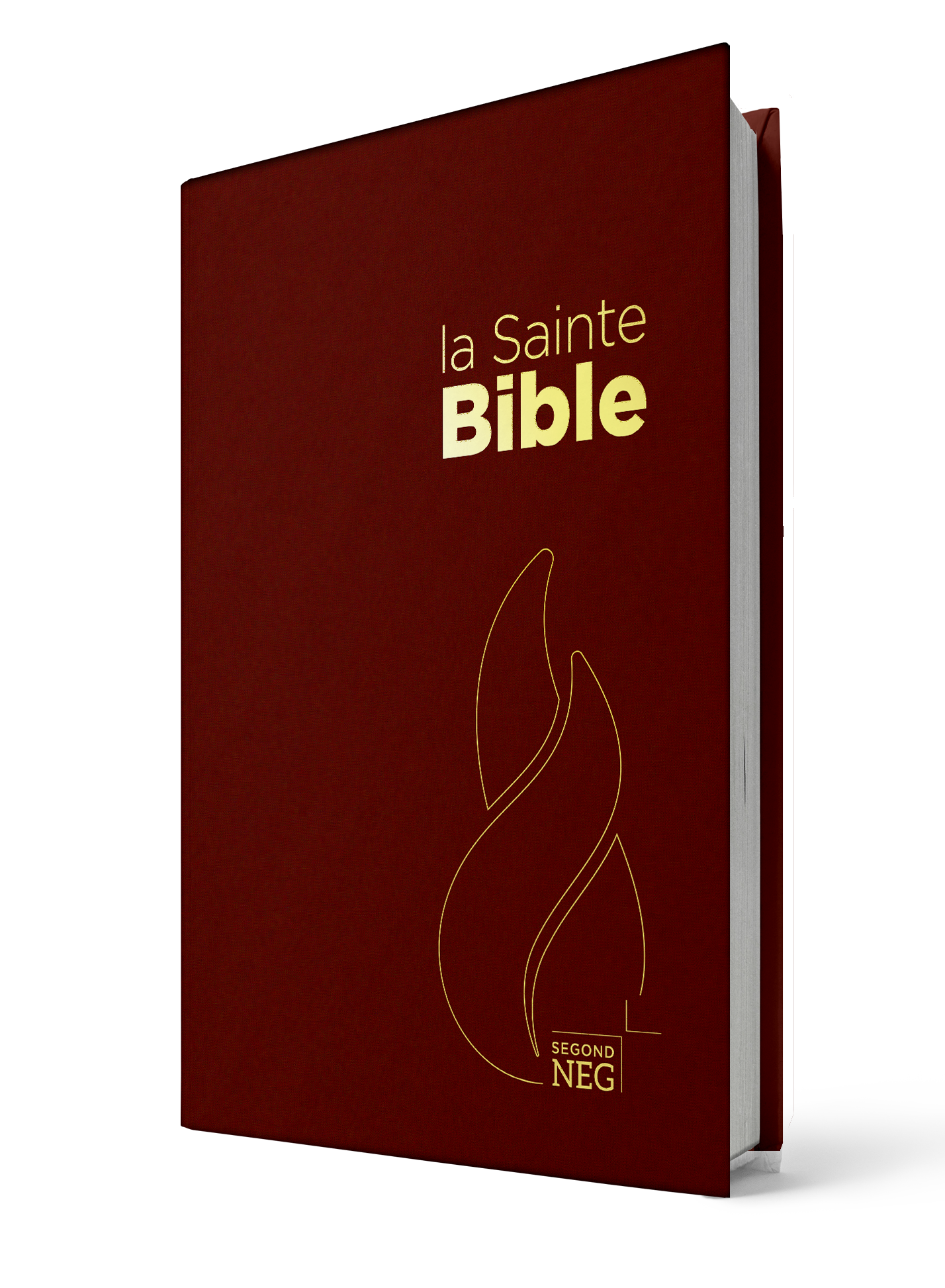 Bible NEG - compact rigide grenat