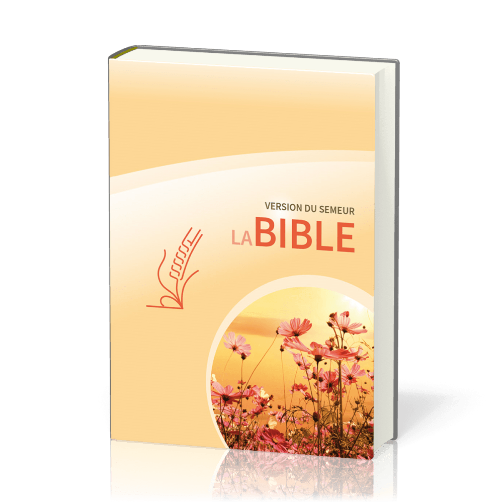 Bible Semeur 2015, couverture rigide jaune illustrée