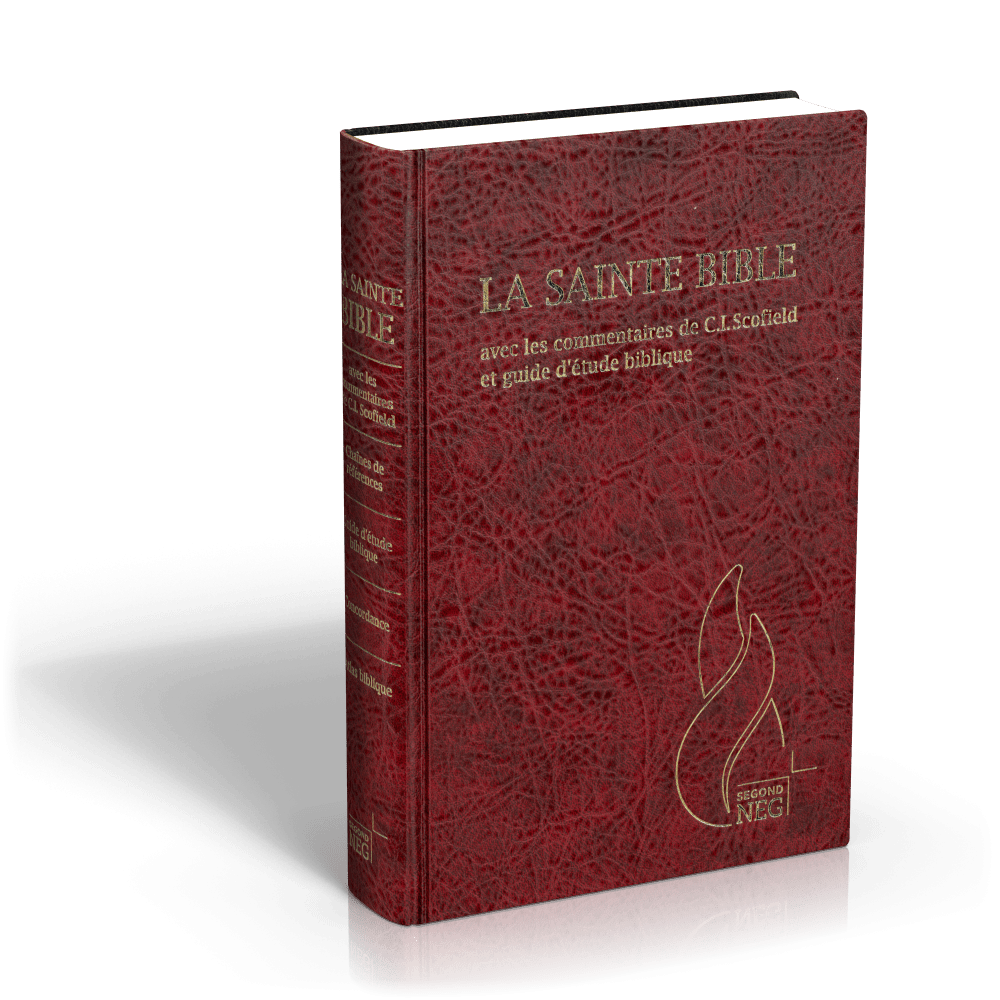 Bible d'étude Segond NEG Scofield, grenat - couverture rigide, skyvertex