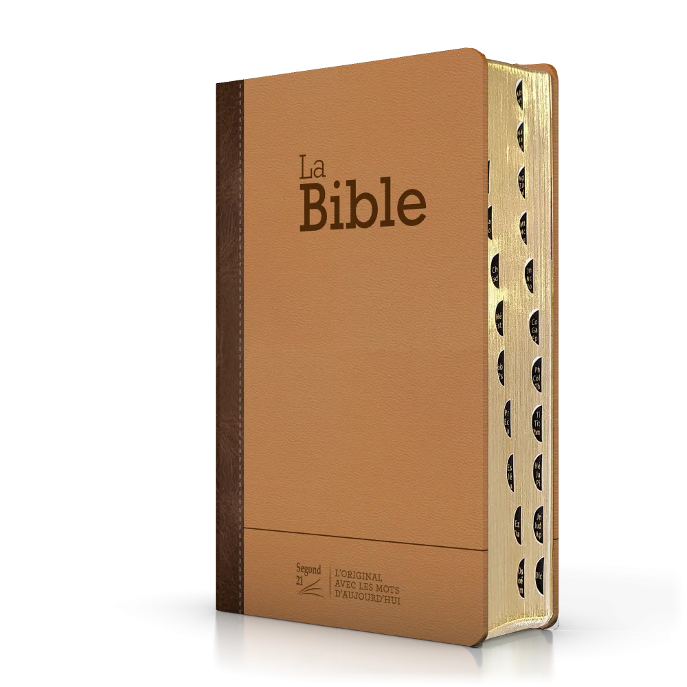 Bible Segond 21 compacte  (Premium style) - Couverture rigide cuir praliné-chocolat - tranches or et