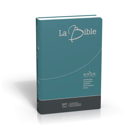 Bible Segond 21, gros caractères, duo bleu-gris