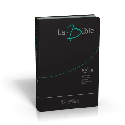 Bible Segond 21 gros caractères souple fibrocuir noir tranche argent onglets