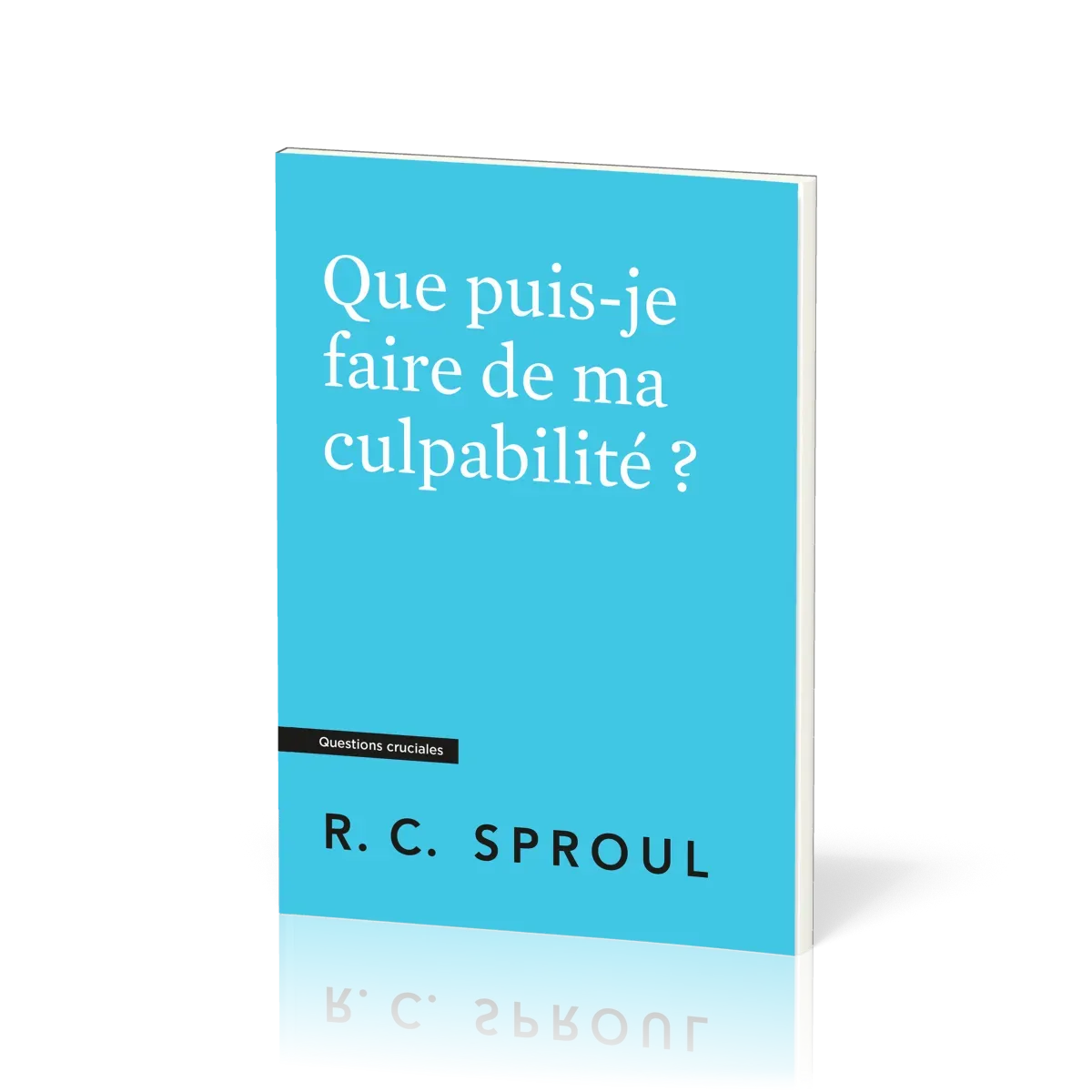 Que puis-je faire de ma culpabilité ? Questions cruciales