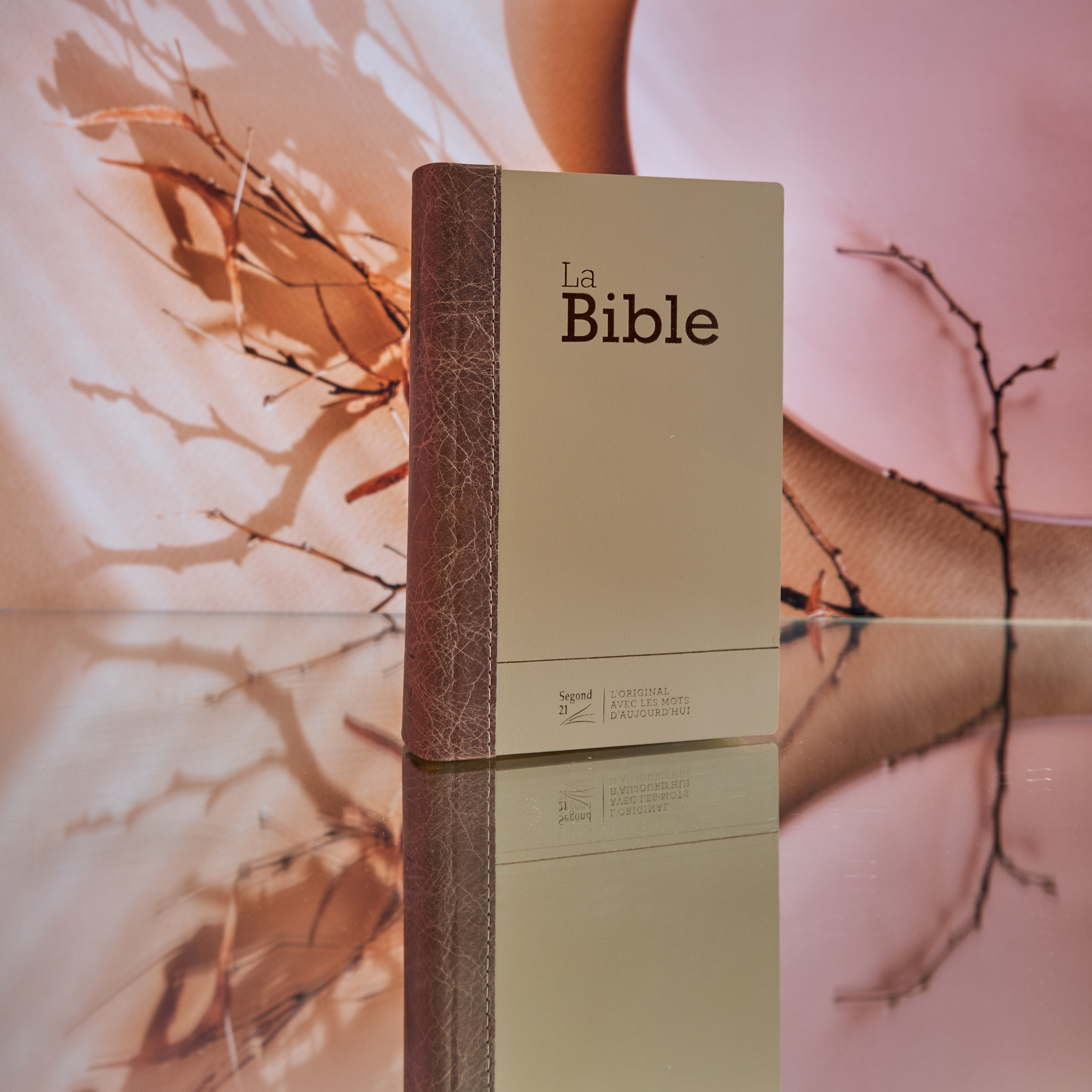 Bible Segond 21 compacte  (Premium style) - Couverture rigide cuir praliné-chocolat - tranches or et