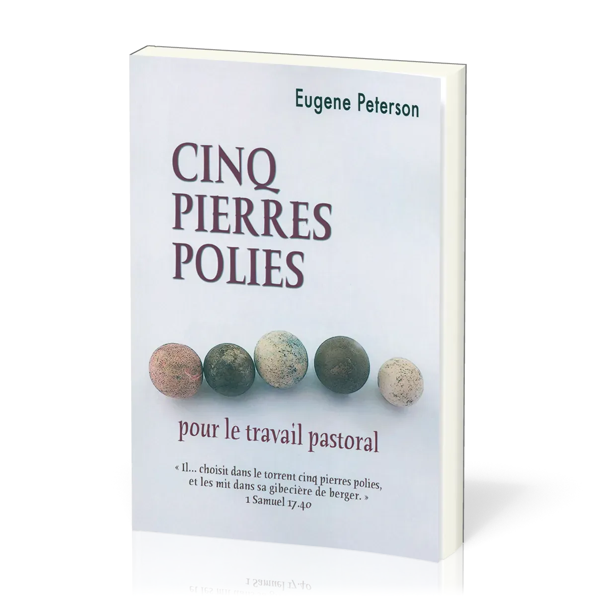 Cinq pierres polies pour le travail pastoral