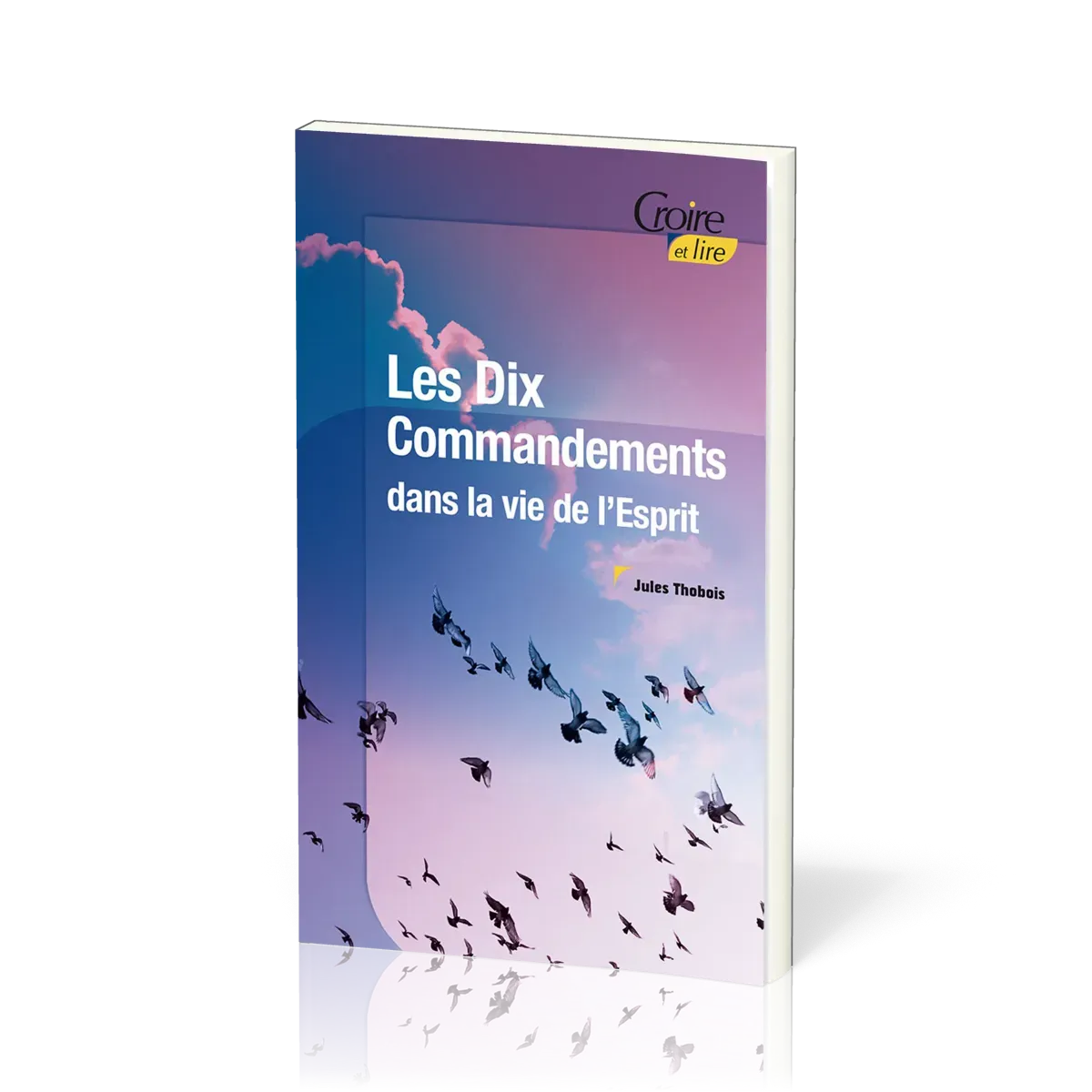 Dix commandements dans la vie de l'Esprit - Croire pocket 42