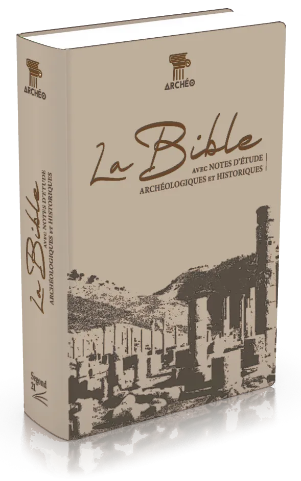 Bible Segond 21 archéologique - couverture souple Vivella brun