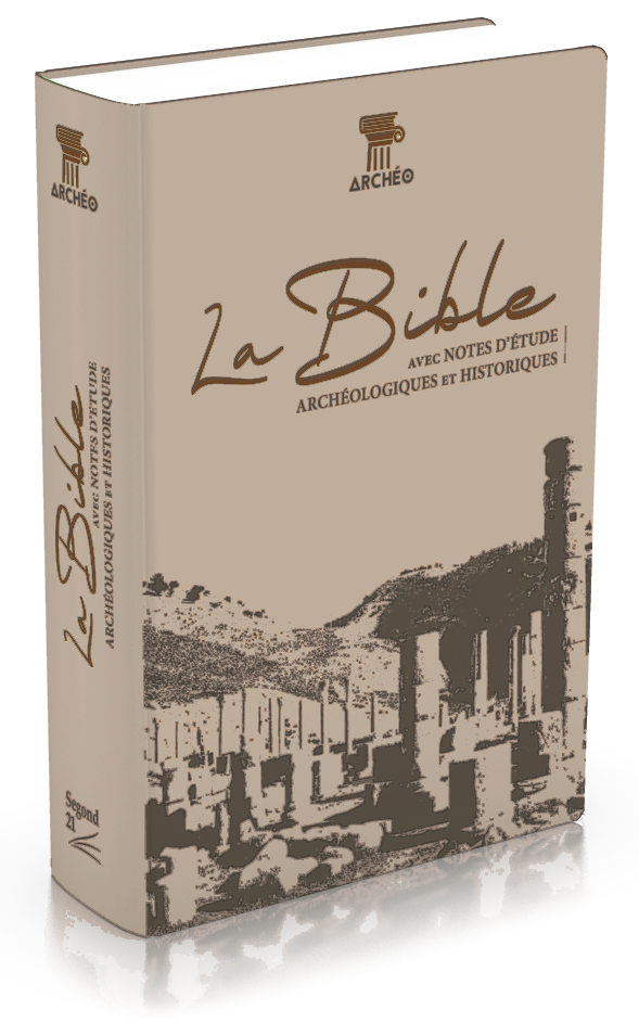 Bible Segond 21 archéologique - couverture souple Vivella brun